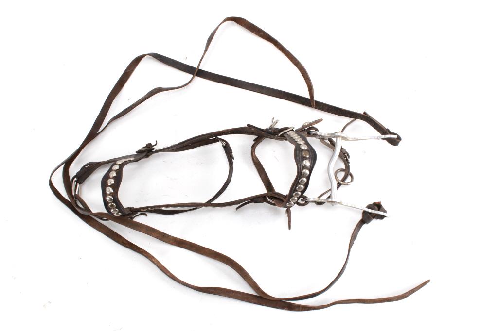 Hess & Hopkins Studded Bridle with Crockett Bit (1 of 9)