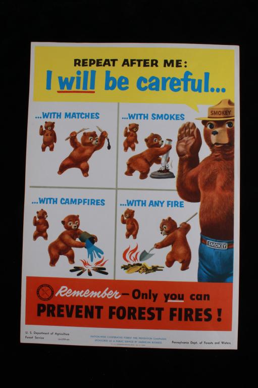 1953 Original Forest Service Wildfire Poster (1 of 13)