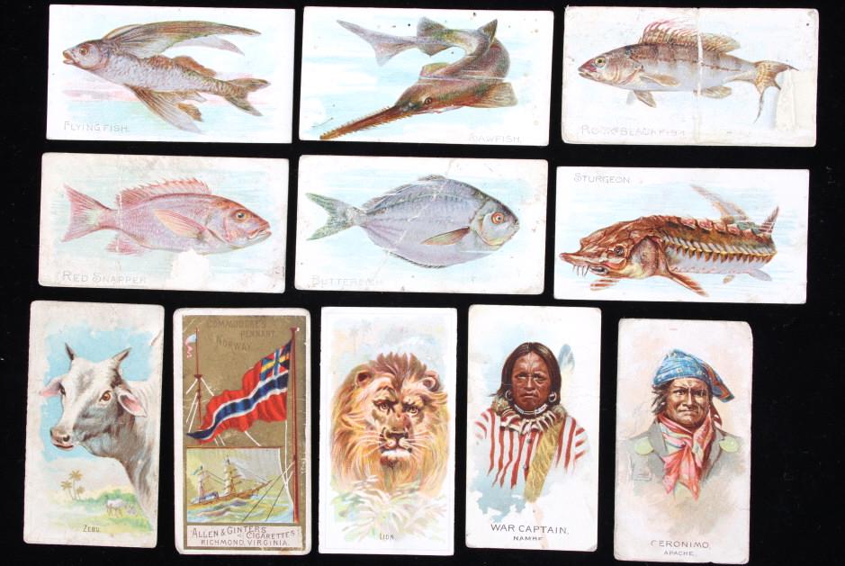 11 Allen & Ginter Cigarettes Collectors Cards (1 of 20)