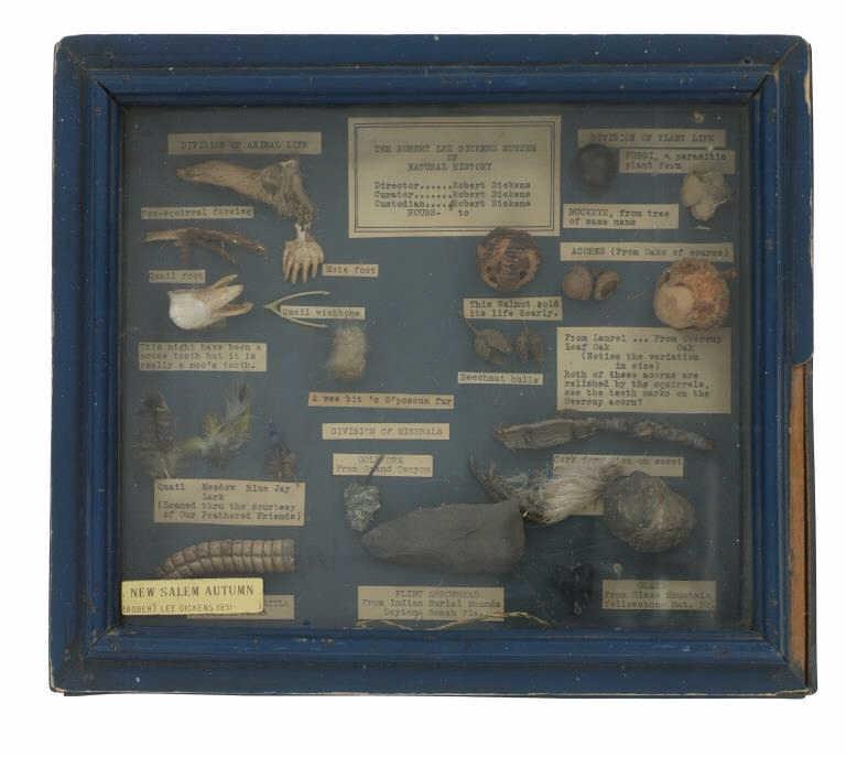 The Robert Lee Dickens Museum Display Case: Featured in this lot is this display case from The Robert Lee Dickens Museum of Natural History. This display case features a wonderfully and professionally crafted wooden construction with a glass li
