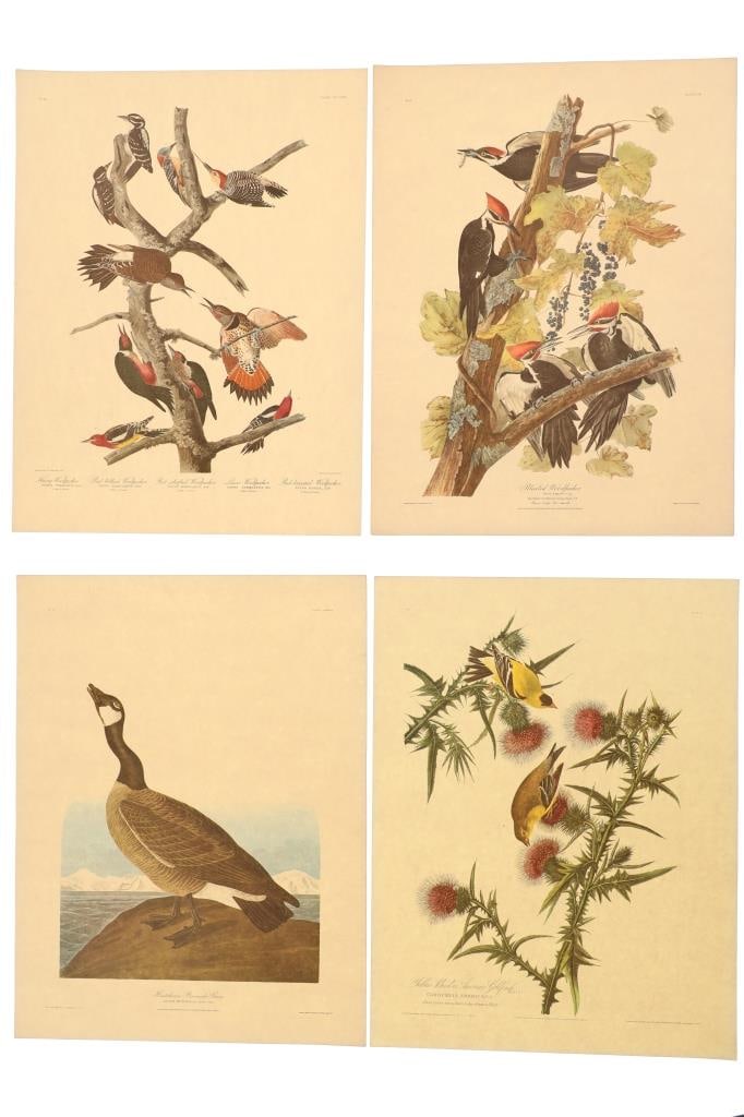 John James Audubon Lithograph NW Mutual Collection (1 of 20)