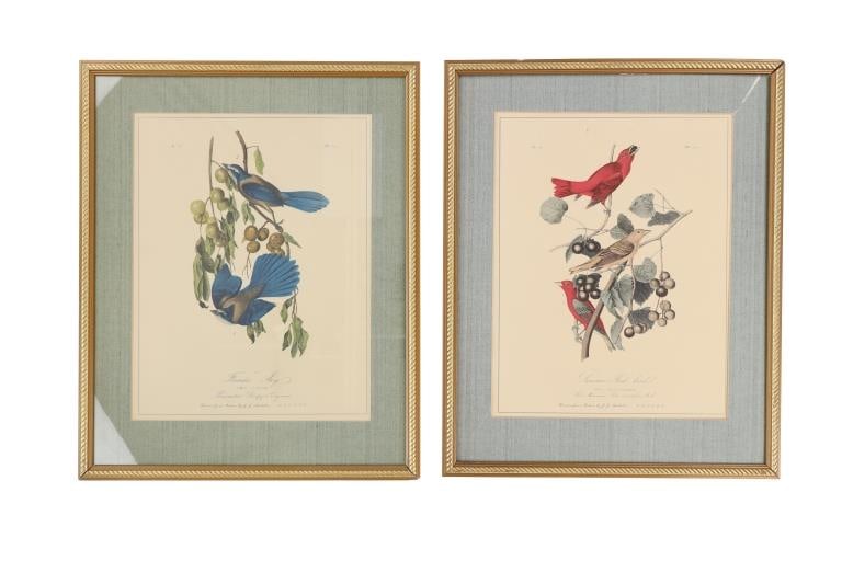 J.J. Audubon Framed & Colored Lithographs (2) (1 of 17)