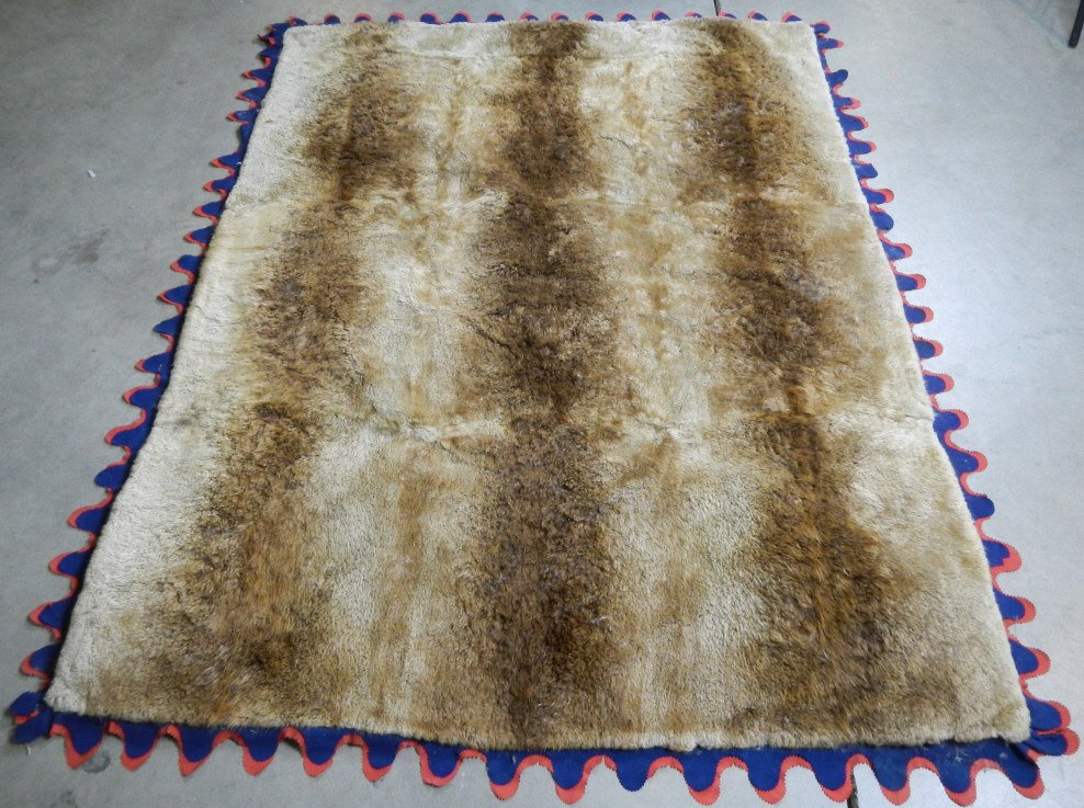 Native American Beaver Pelt Trade Quilt: This Beaver Belt Quilt is 62"x82" and is in excellent condition. Made with more than 9 Beaver pelts and made into a blanket with excellent skill. Has a Double ruffled edge with blue and red. This is a