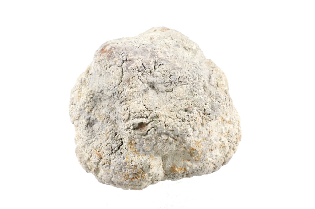 Morrison Formation Jurassic Dinosaur Coprolite: Featured in this lot is a Large Jurassic Dinosaur Coprolite from the Morrison Formation of the Western United States. The formation was named after Morrison, Colorado, where some of the first fossils