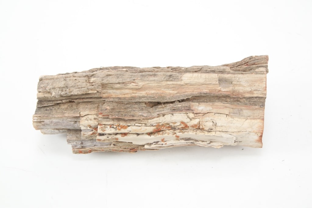 Montana Collected Petrified Wood Slab 31lb, 12oz: Featured in this lot is this 43lb, 14oz. Montana collected petrified wood mineral deposit collected 20th century. The petrified wood slab shows crystal formations and mineral deposits. Unlike other ty