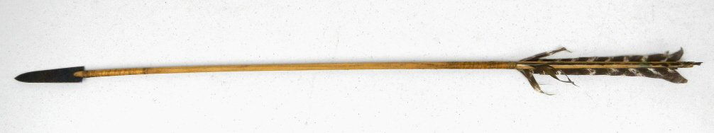 Sioux Arrow: This is an orignal Sioux Native American Arrow for a Bow and Arrow. This is hand made and features rawhide tied iron arrowhead and turkey feathers. This measures 27" long with a 2.75" long arrow head.
