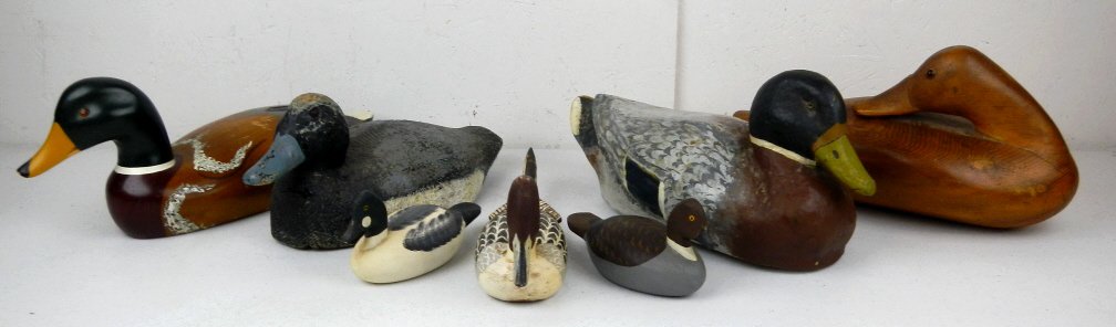 Antique & Vintage Duck Decoy Collection: This collection of Ducks includes ducks that are Antique and Vintage. This lot include: 1930-1940's Pintail hand painted and rare, Blue Bill 1920-1930's Decoy with glass eye, 1940-1950's Paper Mache D