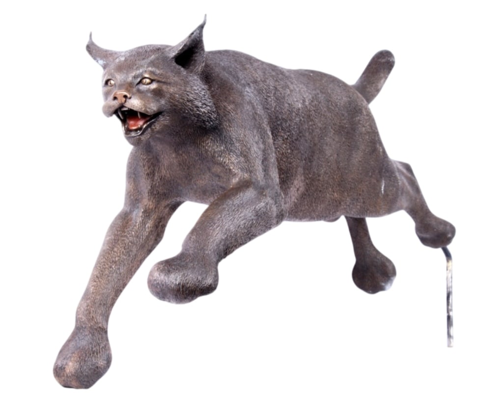 Montana State Bobcats Life Size Bronze Kruckenberg: This is an original life size Montana State Bobcats Champ bronze sculpture by Roger D. Kruckenberg of Bozeman, Montana; only three examples of this bronze were made including one at the MSU Brick Bree