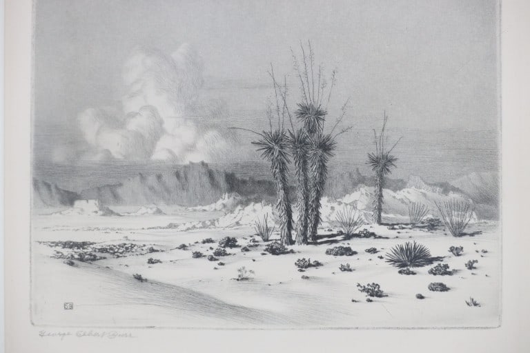 George Elbert Burr (1859-1939) "Evening, Arizona" (1 of 8)