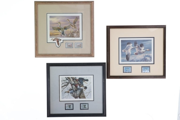Montana Waterfowl Stamp & Art Display Collection (1 of 20)