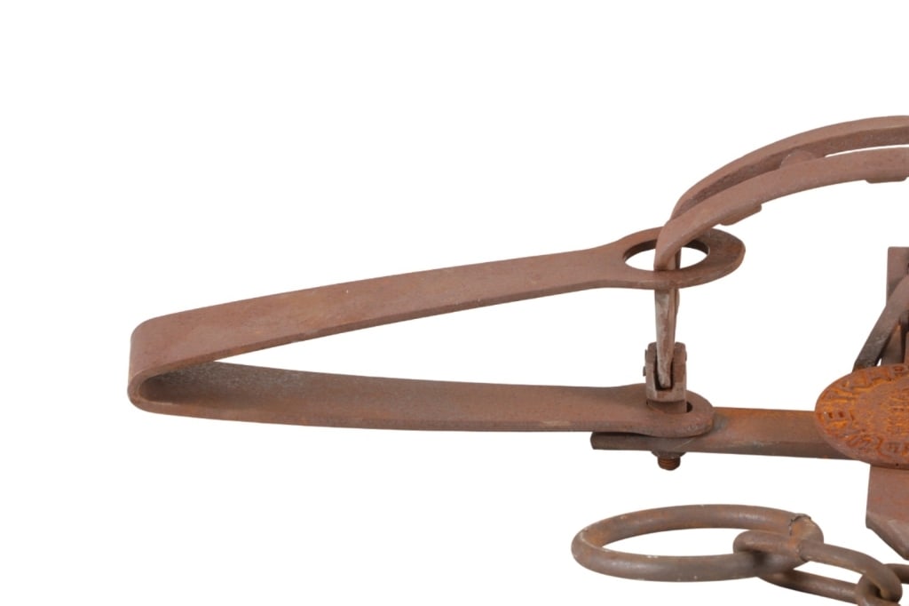 Duke Trap #15 Bear D Double Spring Bear Trap - 2