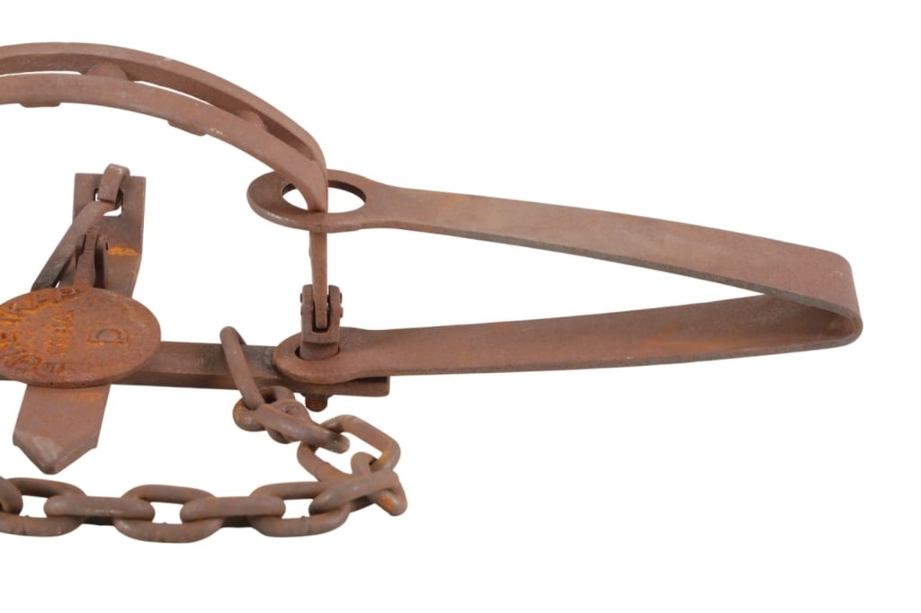 Duke Trap #15 Bear D Double Spring Bear Trap - 4