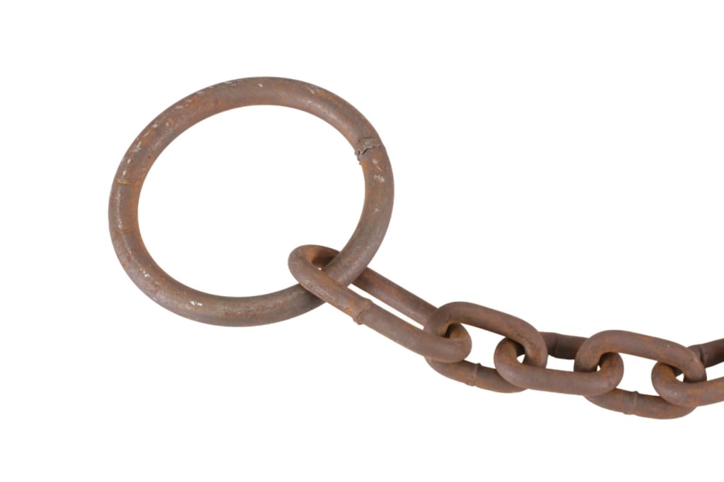 Duke Trap #15 Bear D Double Spring Bear Trap - 8