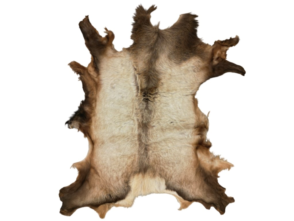 Large Tanned Alaskan Caribou Hide (1 of 6)