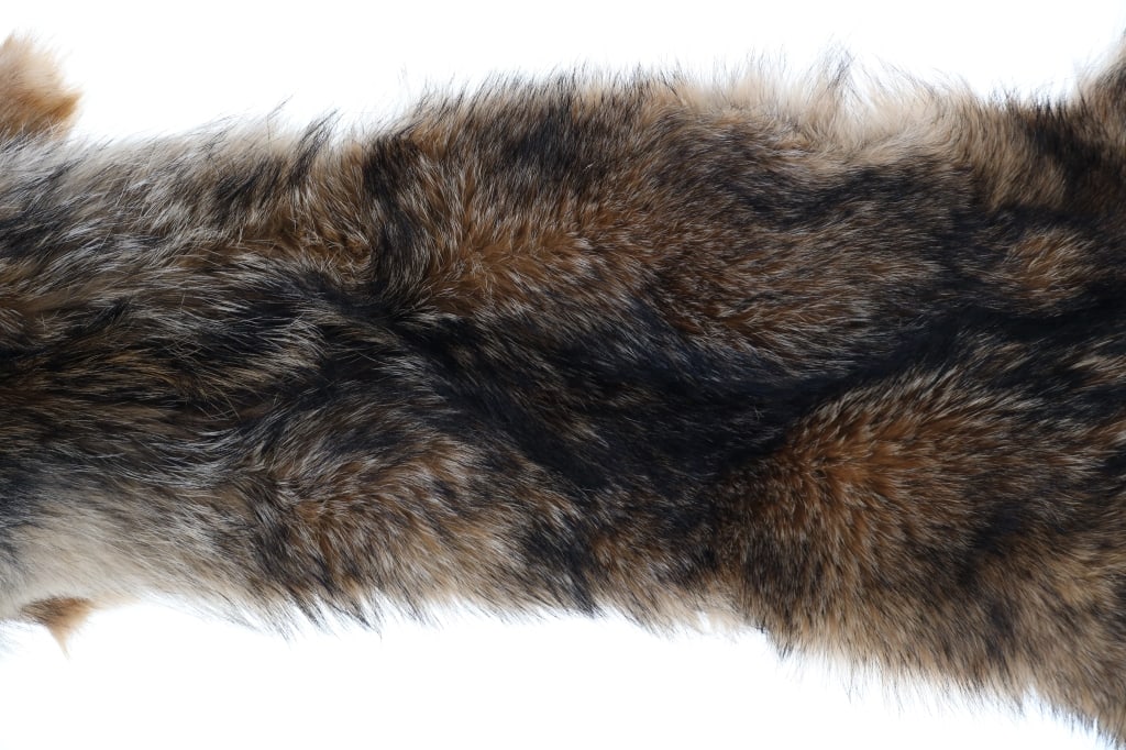 Eastern Coyote Tanned Hide - 4