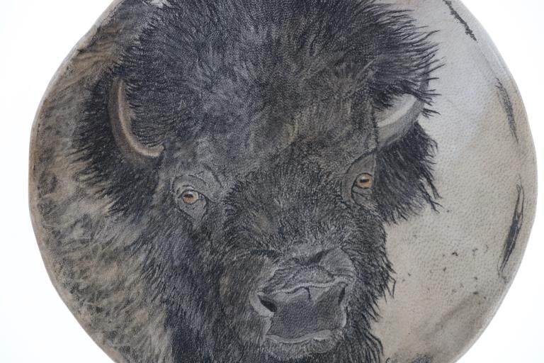 Signed Stretched Rawhide Buffalo Mixed Media - 2