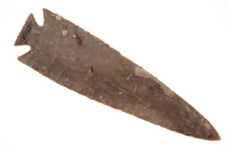 7 3/4" Pulaski Projectile Point 7,000-5,500 B.P. (1 of 7)