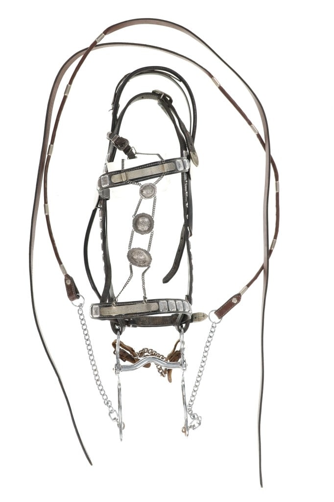 Visalia Sterling Frentera & Ted Flowers Bridle (1 of 13)