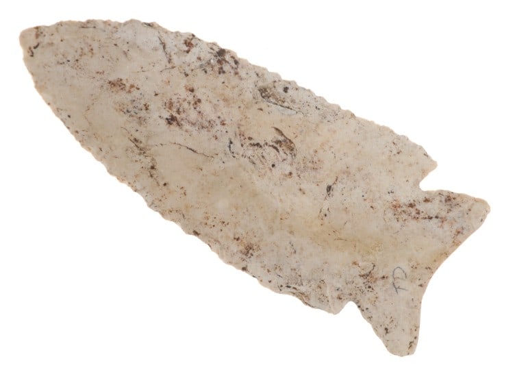 3 1/8" MacCorkle Projectile Point 8,850-8,750 B.P. (1 of 6)