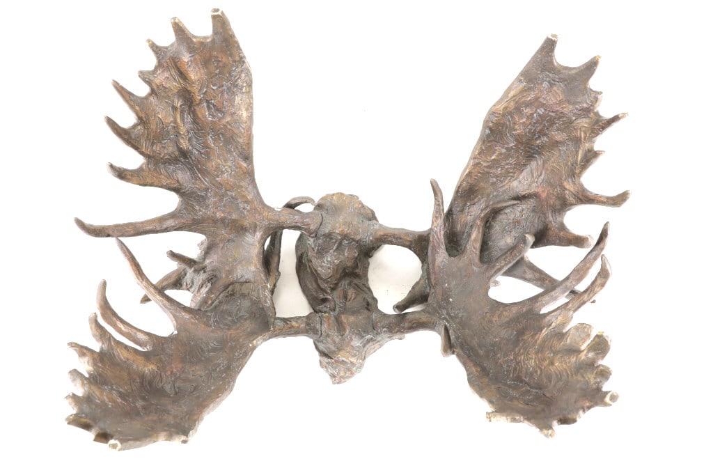 Dick Idol Whitefish, MT Bronze Moose Antler Table: This is an original bronzed Moose Antler sculpture coffee table with glass top signed by artist Dick Idol 2002 of Whitefish, Montana. Dick Idol is a renowned and recognized artist known for his bronze