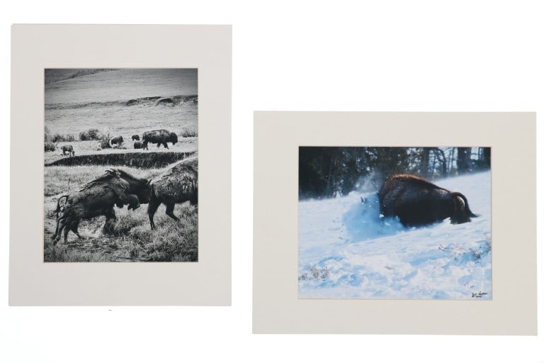 Montana Artist Tom Pallach Bison Photography Pair (1 of 9)