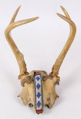 1920s Bead Work on Deer Skull: This is an early Whitetail Deer Rack with a bead work strip on the front that was hand made by an Eastern Native American Tribe in the 1920's. The strip measures 5.5" long and 7/8" wide. (note the str
