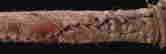 item-26066914=4