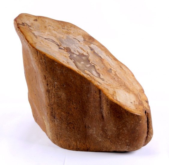 Petrified Wood Indonesian Monkey Box Wood: This lot features a piece of petrified wood. It has been cut and polished. It is in very good condition. The petrified wood measures 6.5" x 12" and is 11.5" tall. Indonesian Monkey Box Wood