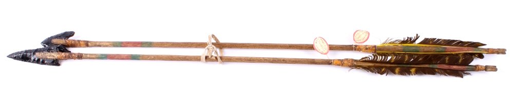 Arapaho Arrows from Livingston, Montana The lot fe: The lot features two original Arapaho Native American Indian arrows collected in Livingston, Montana. These arrows are very early pieces showing original obsidian arrowheads and natural dyes on a carv