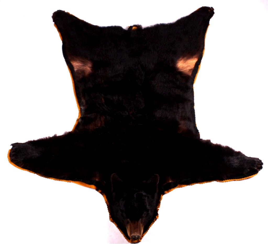 Montana Black Bear Rug: This is a Montana black bear rug mount. It shows good condition and quality. The bear is missing its claws on one paw. Two paws have 2 and 1 claw each. The fourth paw has 5 claws, 4 of which have come