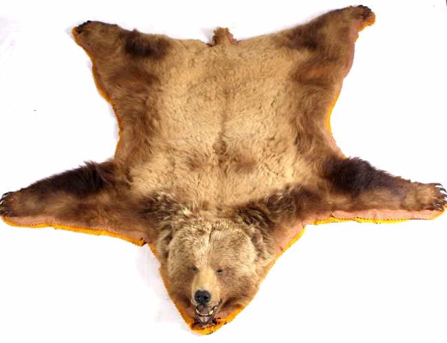 Great Alaskan Brown Bear Rug This is a Great Ameri: This is a Great American Brown Bear rug taken on the Alaskan coast near Seward. The rug shows great condition with large 3" original claws. The bear has a rich colored fur and grizzled hair head. This