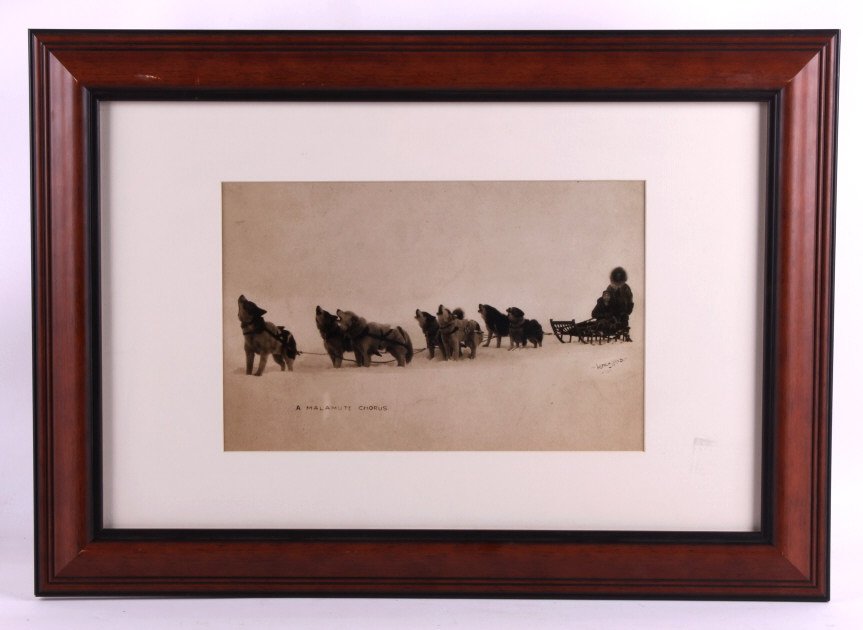 Original Inuit Eskimo Framed Photograph This is an: This is an original Inuit eskimo photograph. The photograph is titled "Malamute Chorus". It shows a dog sled team of 8 dogs pulling a sled with two riders through snow covered terrain. The photograph 