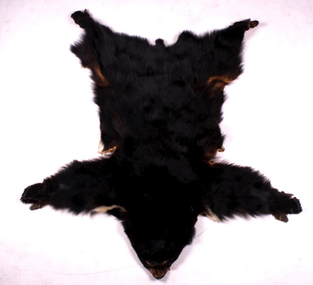 Montana Black Bear Hide This is a Montana black be: This is a Montana black bear hide. The hide has been prepared and is ready to be mounted as a rug. The hide is complete with all the claws. The black bear hide is in good condition. It measures 58" x 