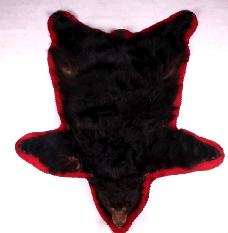 Idaho Black Bear Rug Mount This is an Idaho black: This is an Idaho black bear rug mount. The bear is complete with all its claws and head. The rug does show some damage around the shoulders and under arm areas. The Idaho black bear rug mount measures