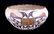 Acoma Pottery Bowl circa 1880-1910 The lot feature