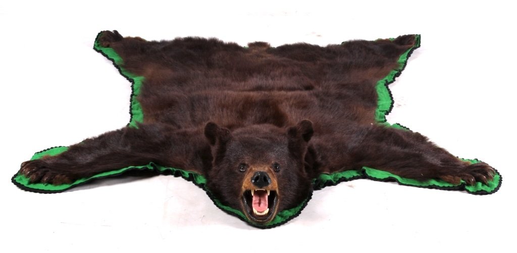 Montana Cinnamon Black Bear Trophy Rug: This is a large Cinnamon Black Bear with a thick rich fur. The bear was taken in Montana and is in great condition with all the impressive claws. This is a large Trophy bear rug. The double felted bea