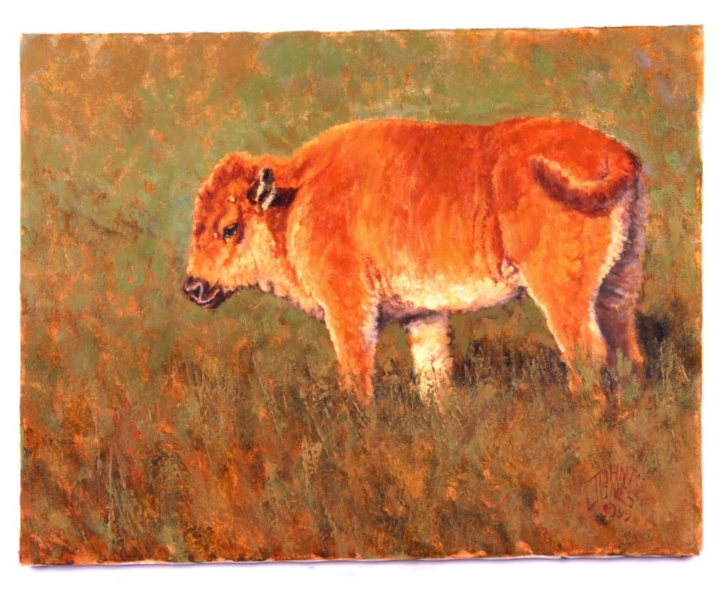 John Jones Original Oil on Canvas Painting: This is an original oil on canvas painting by John Jones. The painting shows a young calf in a pasture. Jones is a renowned Western artist. This piece shows good condition. It has been signed by the a