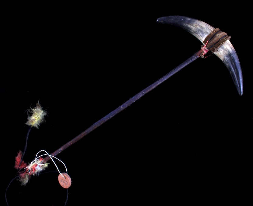 Crow Dance Wand from Otto Ernst Collection 1900: This is a Crow Native American horn dance wand from the Otto Ernst Collection. The piece shows a set of two steer horns on a hide wrapped wood stem with Buffalo Hair fringe having feather accents. The