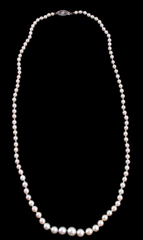 Antique Pearl & 10k Gold Necklace: This is a beautiful antique set of bright natural pearls on a 10k gold marked necklace. The necklace is strung on string with a 10k gold exquisite clasp. Necklace is 21"l unstrung with the largest pea