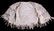 Paiute Beaded Child's Vest Early 1900 - 8