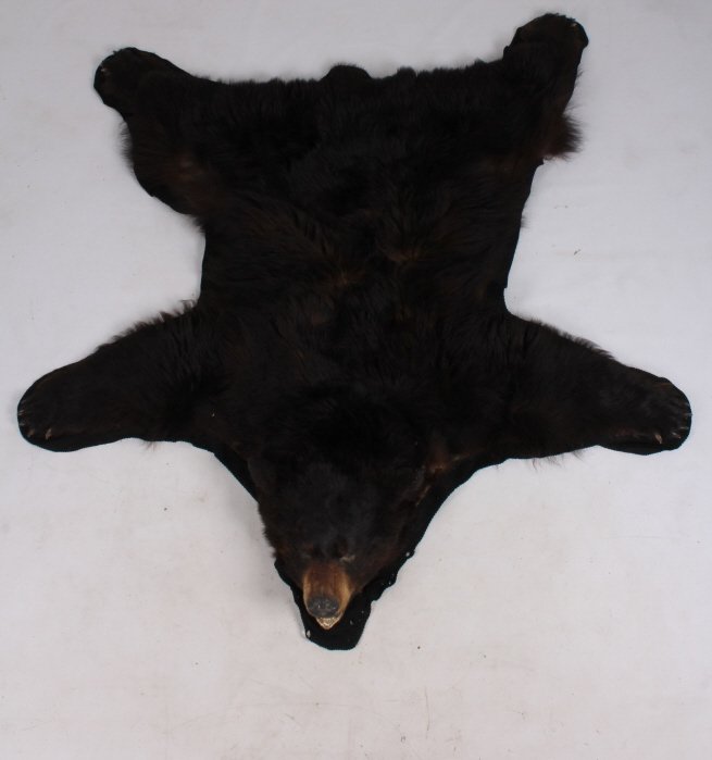 Montana Black Bear Taxidermy Rug Mount: This is a Montana black bear taxidermy rug mount. The bear has been mounted on felt backing and shows a deep rich brown color. The bear has been prepared by a professional taxidermist and is in good o