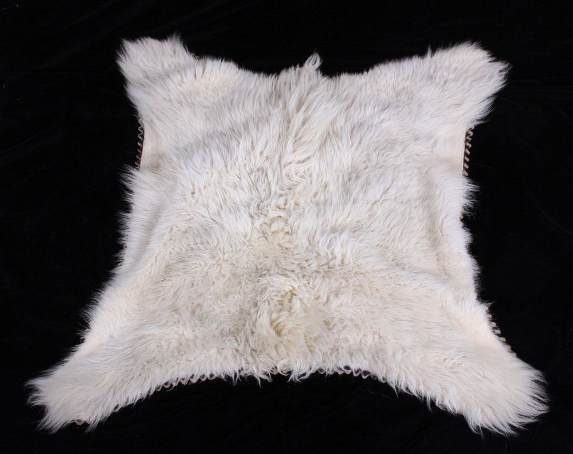 Montana Mountain Goat Taxidermy Rug Mount: This is a Montana mountain goat taxidermy rug mount. The hide has been prepared by a professional taxidermist and is double mounted on felt. The goat rug mount is in good condition. It measures