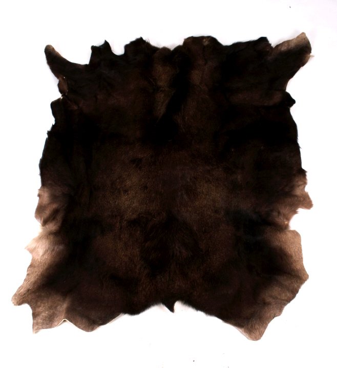 Montana Trophy Moose Hide: This lot features a Large Moose Hide from Montana. The moose is mainly in good condition with the exception of a small patch which is bare, as shown in the pictures. Great Hide. Measures: 71 1/2" L x 