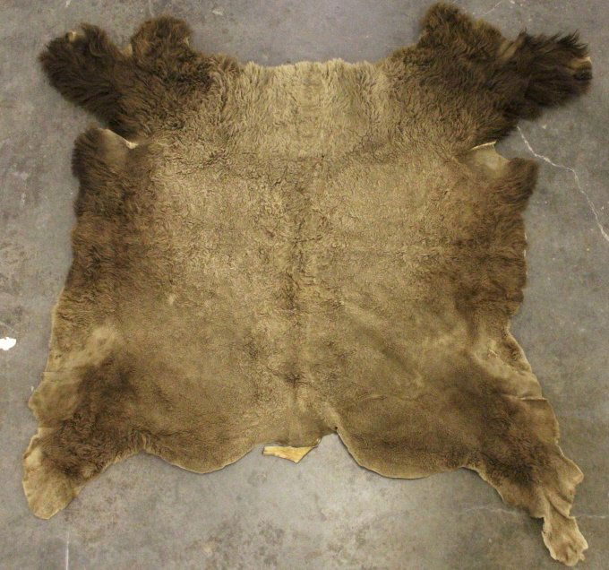 Montana Tanned Buffalo Hide: This is a tanned Montana buffalo hide. The buffalo has been prepared by a professional taxidermist. It shows deep, rich color and shows good overall condition. The buffalo hide measures 62" x 73".