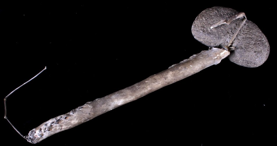 Northern Plains War Club Circa Late 1800's: This is a Northern Plains Native American Indian war club. The piece is in fair condition, some of the sinew and rawhide holding the head has broken. The piece shows a stone shaped head with a wood ha