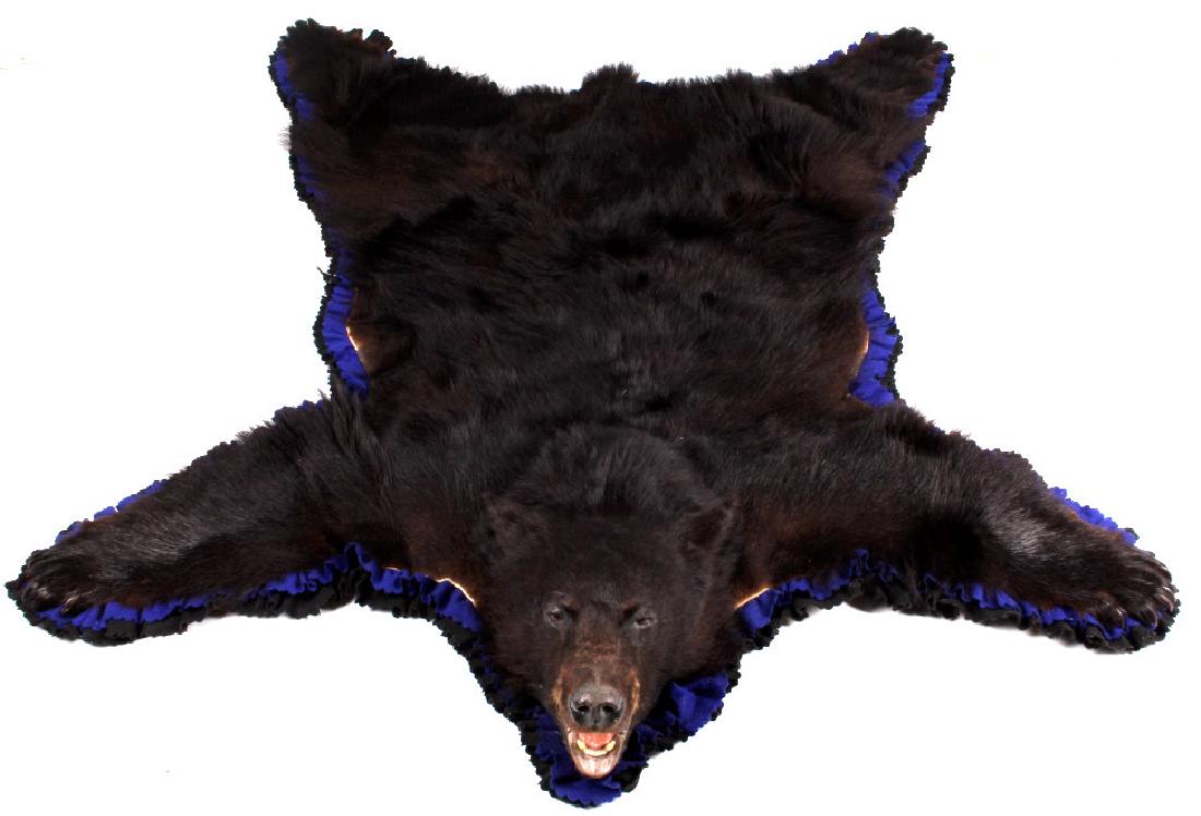 Large Montana Black Bear Rug: This is a Montana Black Bear rug. The rug was prepared by a professional taxidermist. It shows good condition and great color for its age. The bear has all its claws. The Montana black bear rug measur