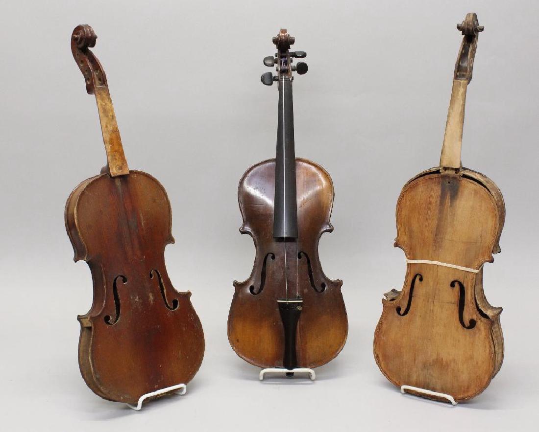 Three Labeled Violins (1 of 10)