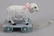 Rocking horse and Lamb pull toy and baby china set - 3
