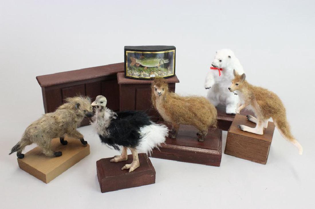 Taxidermy ostrich, polar bear, kangaroo, hyena; display (1 of 6)