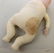 PAIR OF ANTIQUE BISQUE HEAD CHARACTER BABY DOLLS. - 4